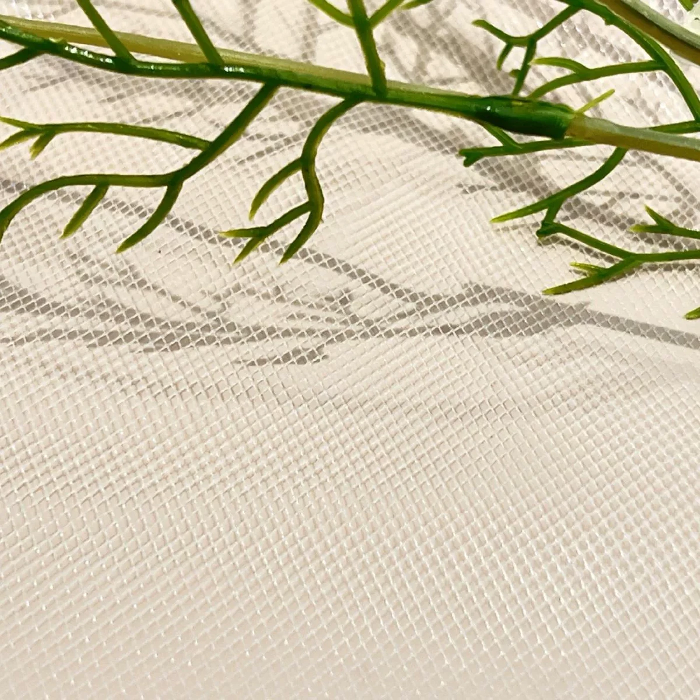 菱角网 — 本白实拍展示 / Natural White Sample